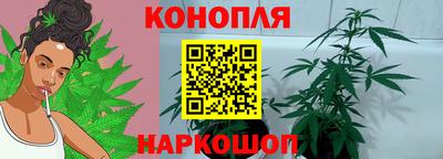 Альфа ПВП Новодвинск
