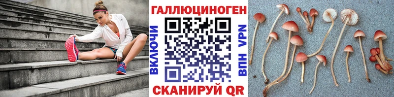 Псилоцибиновые грибы ЛСД  Чайковский 