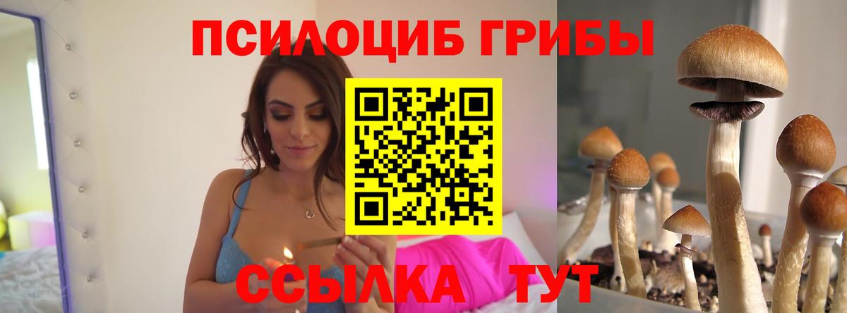 Чайковский  Псилоцибиновые грибы прущие грибы  Вход с VPN  Псилоцибиновые грибы ЛСД 