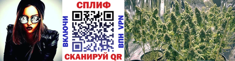 купить закладку  Чайковский  Шишки марихуана VHQ 